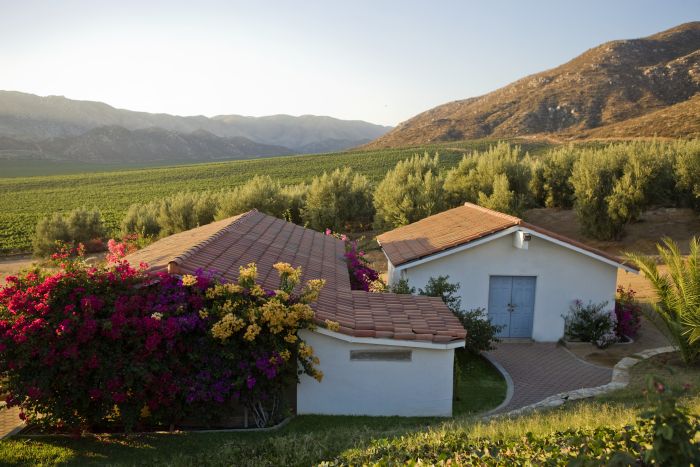 Festival del Vino en México Festival del Vino en México